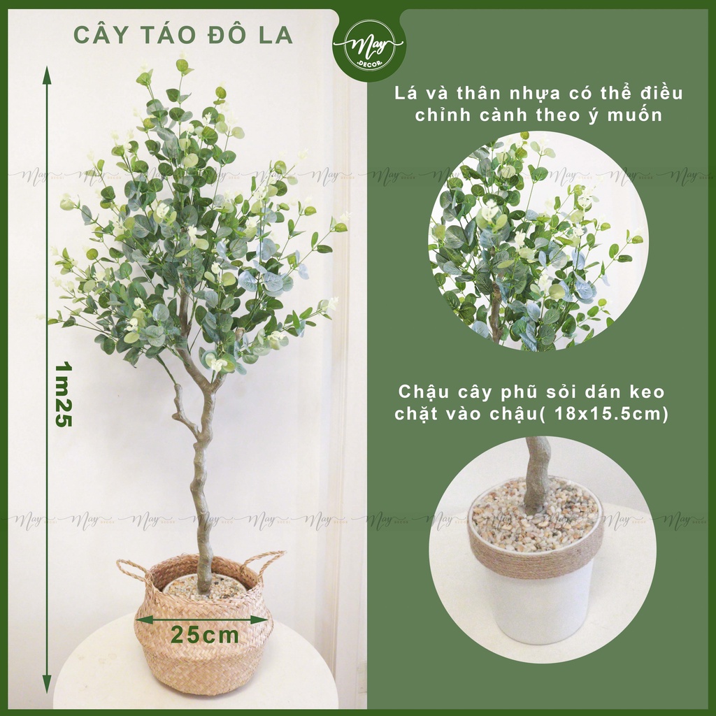 Cây giả cao cấp Oliu, Táo, Thạch Nam