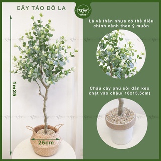 Cây giả, Cây Táo Xanh 1m25 thân giả gỗ