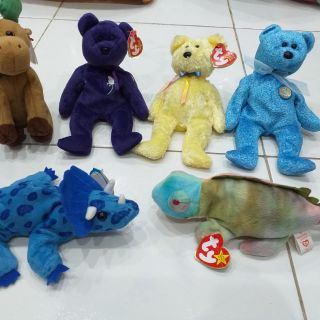 Gấu bông kope