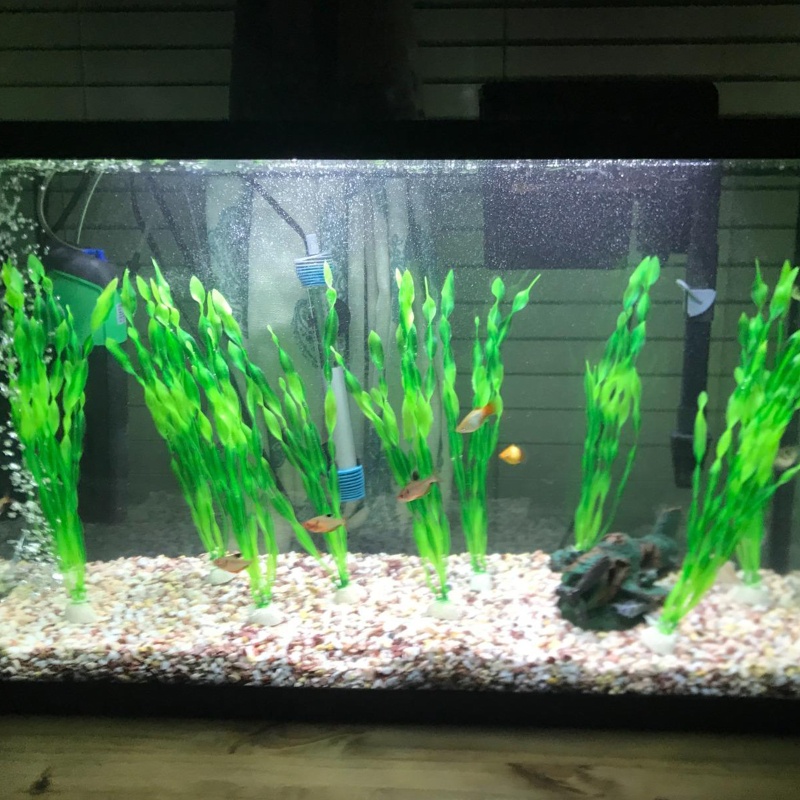 Set 10 Lá Giả Trang Trí Bể Cá