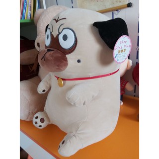 chó mặt "quạu" siêu dễ thương size 20cm