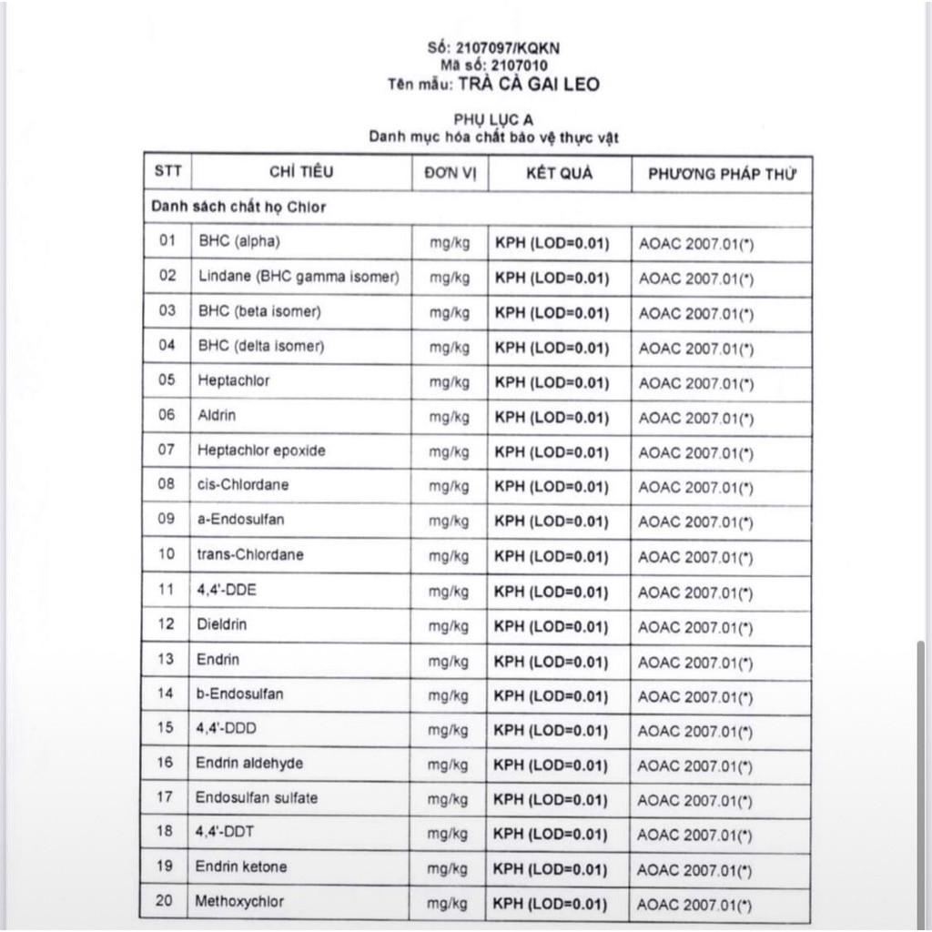 Trà Cà Gai Leo Túi Lọc Tùng Lâm