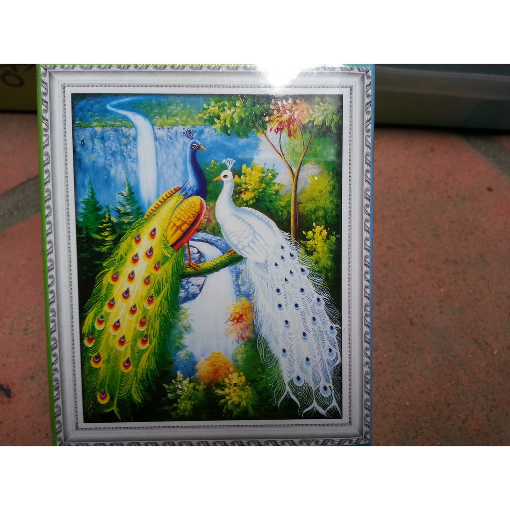 Tranh đính đá đôi công H064