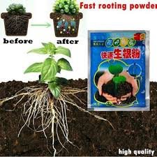 Bột Rapid Rooting hormone chuyên kích rễ cây trồng, kích nảy mầm hạt giống