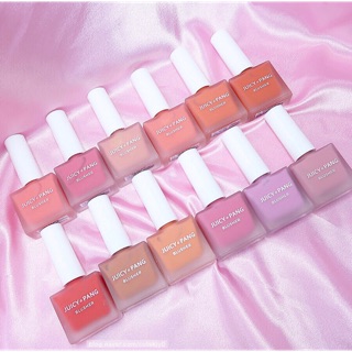 Phấn Má Juicy Pang Water Blusher