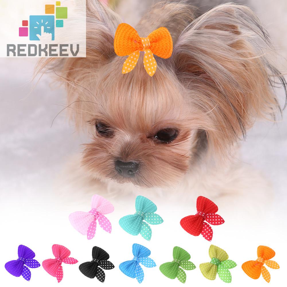 Set 10 Kẹp Tóc Hình Nơ Dễ Thương Cho Thú Cưng