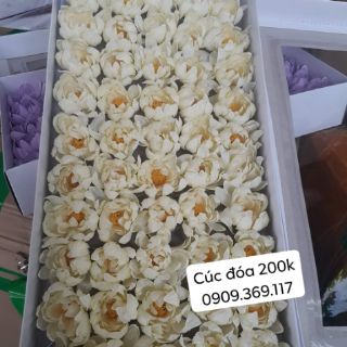 Hoa sáp thơm  (50 bông/ hộp)
