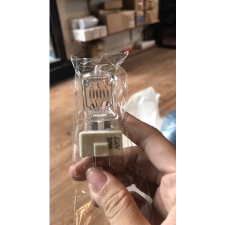 Bóng đèn Spotlight 300w