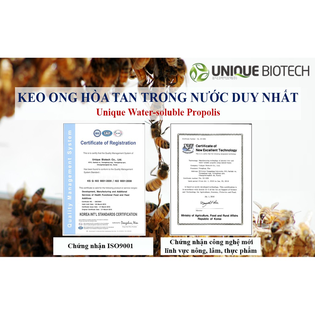 Xịt Họng Keo Ong Úc 3T Giảm Ho, Đau Ngứa Rát Họng, Đau Amidan, VA (Chai 25ml) | BigBuy360 - bigbuy360.vn