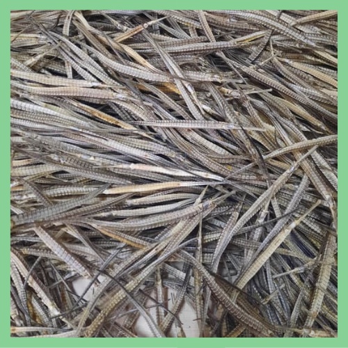 + 2 con Hải Long 3 cạnh/Hải xà biển khô