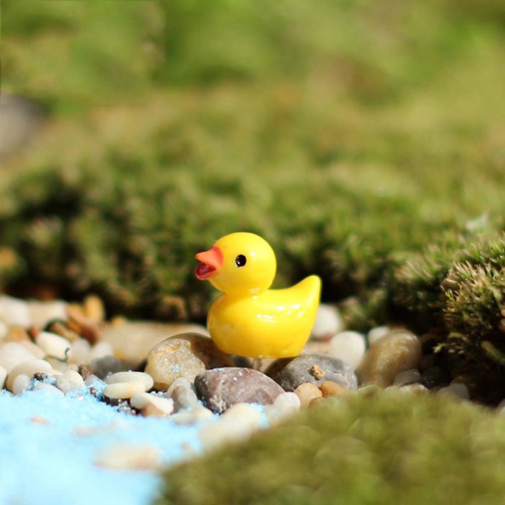 EPOCH Set 5 Mô Hình Chú Vịt Mini Trang Trí Sân Vườn