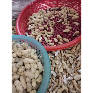 Lạc đỏ [1kg]
