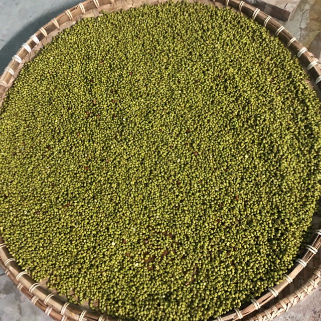 Đậu hạt dinh dưỡng