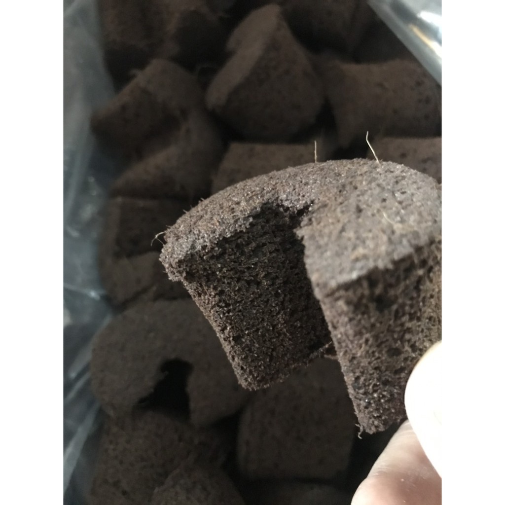 Mút ươm kei hữu cơ nhập khẩu Hà Lan (Size to)