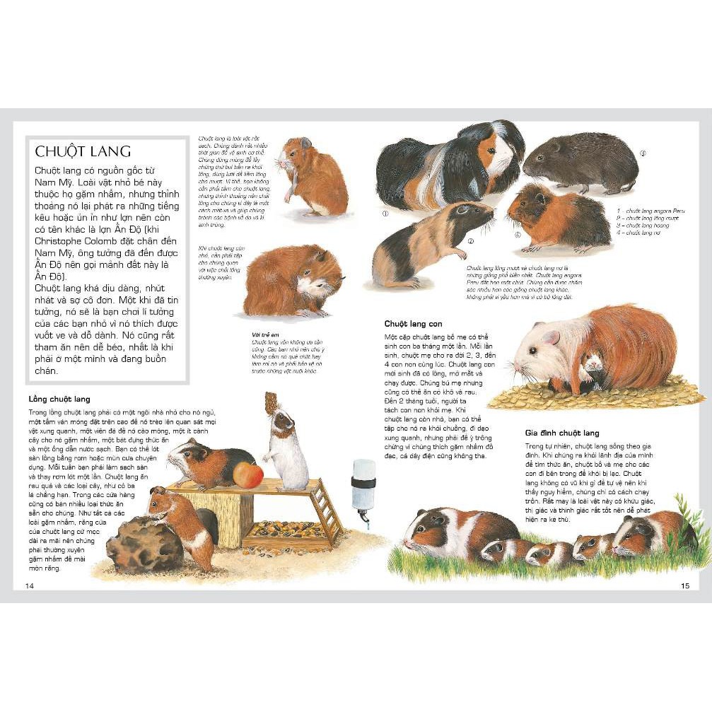 Sách cho bé Tủ sách thế giới động vật Động Vật Cảnh