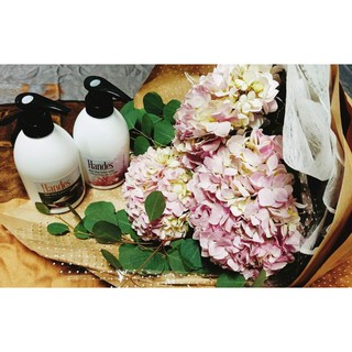 Sữa tắm cám gạo Handes 560ml - Thơm quyến rũ (Mẫu mới)