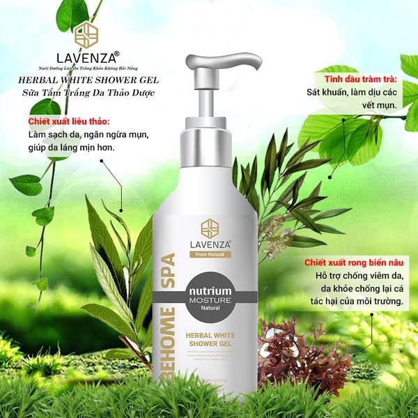 SỮA TẮM THẢO DƯỢC LAVENZA