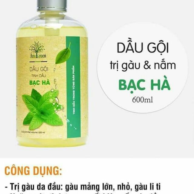 Dầu gội trị gàu,  nấm da đầu