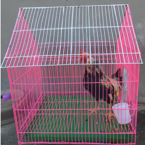 Lồng nuôi gà tre sơn tĩnh điện, nhiều màu sắc, khoảng cách nan 1.5cm lồng 45cm x50cm x50cm