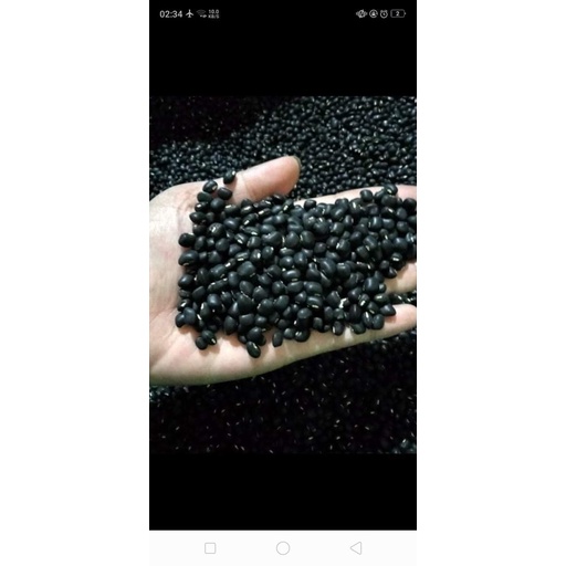 đậu đen  1kg ❤️GIÁ SỈ❤️ thơm mát giải nhiệt