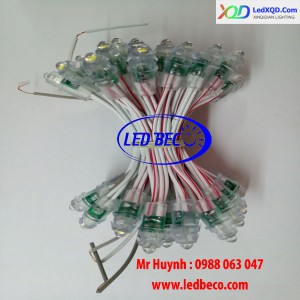 LED ĐÚC F5 XQD