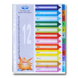 Bìa Phân trang nhựa 12 số