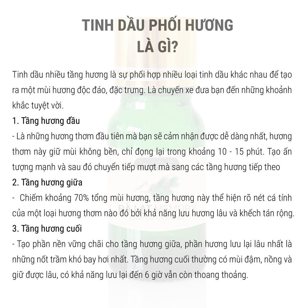 Nến thơm phòng cao cấp handmade nhiều mùi hương cho phòng vừa và nhỏ Dawn Light