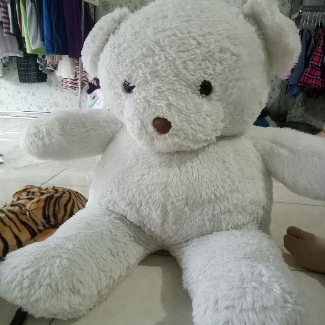 Gấu trắng mắt đen. Size 60cm. Cho bé