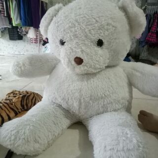 Gấu trắng mắt đen. Size 60cm. Cho bé