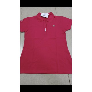 Áo thun nữ mẫu mới size xxxxl