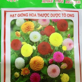 HẠT GIỐNG THƯỢC DƯỢC TỔ ONG