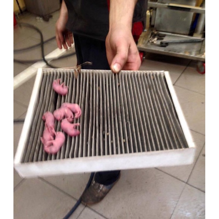 Lọc gió điều hòa các hãng Huyndai, Kia, Vinfast, Ford, Mazda, Toyota