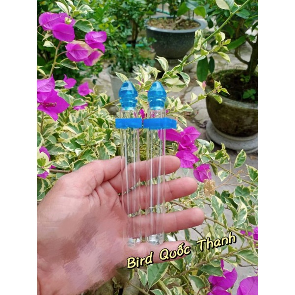 Ống nước thủy tinh loại ngắn dành cho vành khuyên