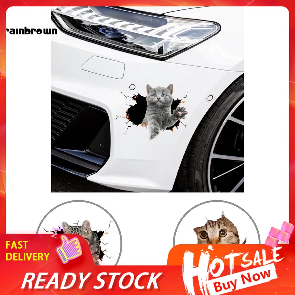 Decal dán trang trí hình động vật ngộ nghĩnh