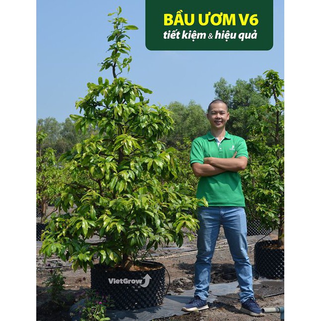 (Bán sỉ) Bầu ươm V6 - Cuộn dài 50 mét, Cao 50cm Vietgrow chính hãng