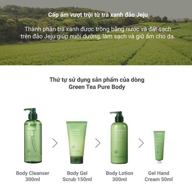 Tẩy Tế Bào Da Chết Toàn Thân Hương Trà Xanh Innisfree Green Tea Pure Body Scrub 150ml | BigBuy360 - bigbuy360.vn
