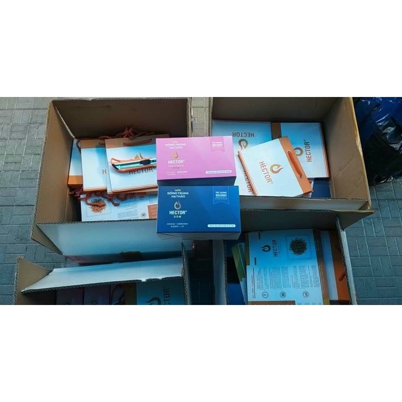 Nước hector colagen hộp 10 chai | Thế Giới Skin Care
