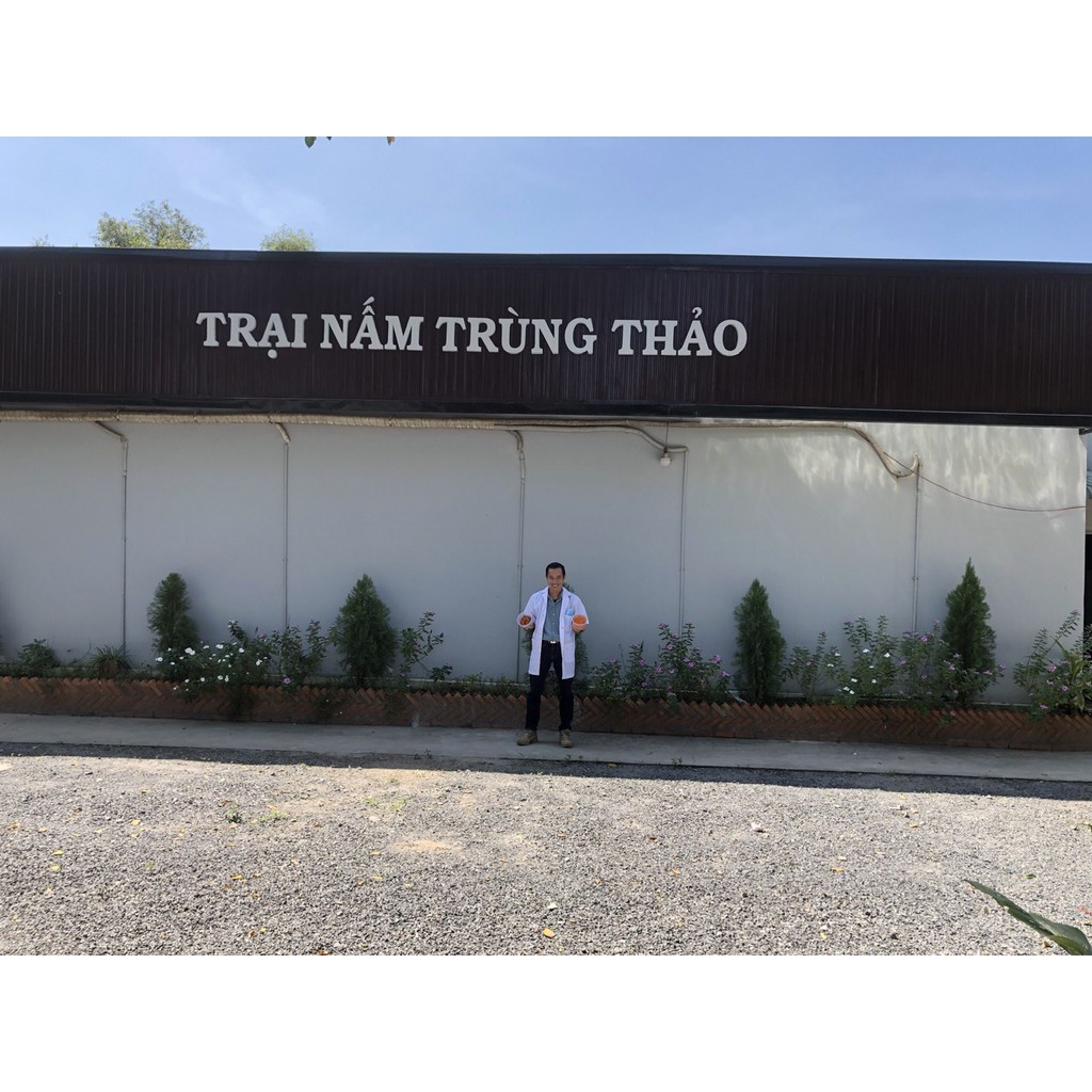 NẤM HỒNG CHI THƯỢNG HẠNG (1 Tai Nấm Hút Chân Không) - Quà Tặng, Quà Biếu Bồi Bổ Sức Khỏe