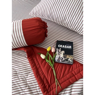BỘ DRAP GỐI DRAP THUN HÀN QUỐC  CAO CẤP