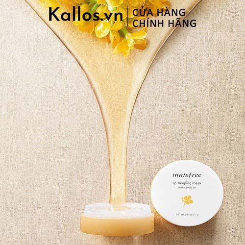 [TEM CHÍNH HÃNG] Mặt Nạ Môi Innisfree Lip Sleeping Mask Green Tea, Canola