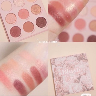 [New 2020] Bảng mắt Colourpop Blush Crush