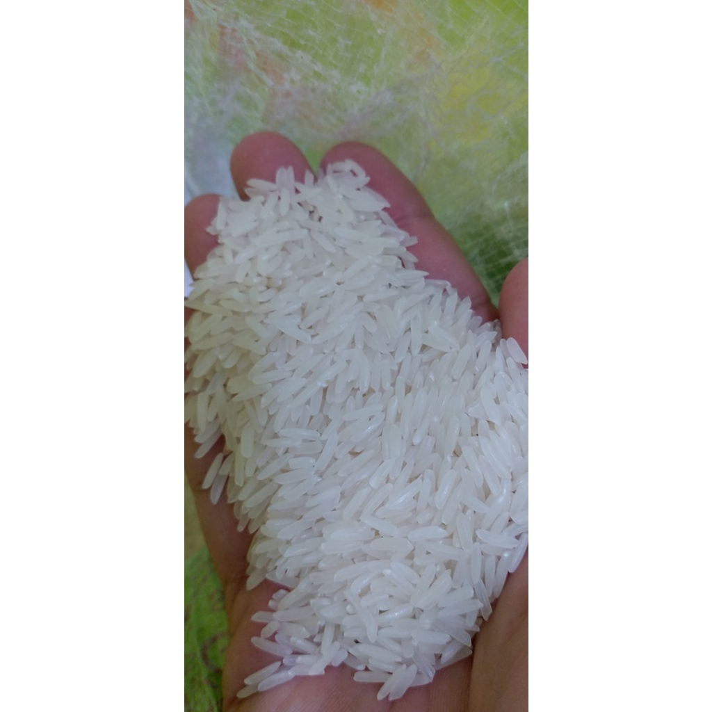 Gạo ST25 - Gạo đặc sản Sóc Trăng