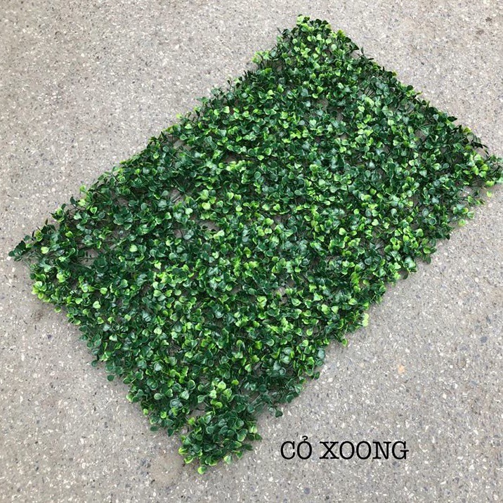 Cỏ treo tường cải xoong kt 60x40cm