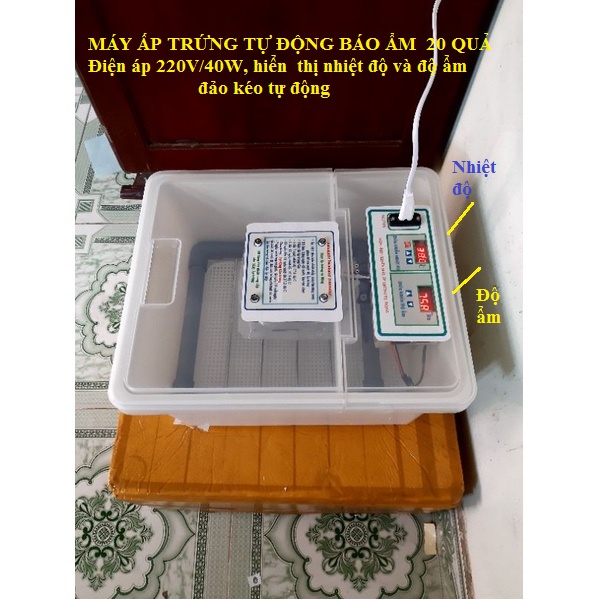 Máy ấp trứng mini 24-36 quả nắp trong suốt tiết kiệm điện