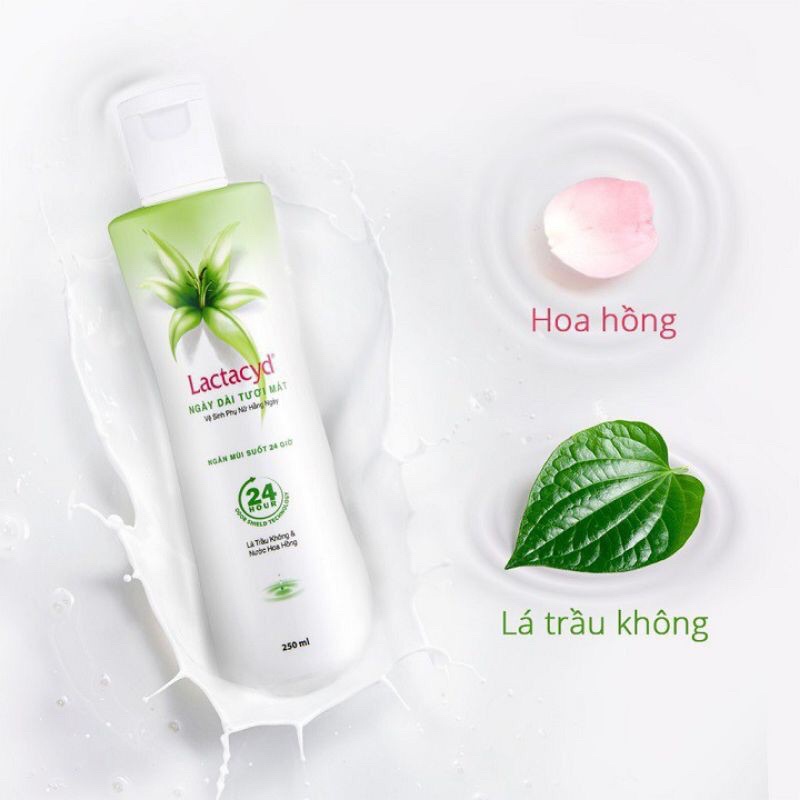Dung Dịch Vệ Sinh Phụ Nữ Lactacid Ngày Dài Tươi Mát Tinh Chất Lá Trầu Không 150ml | Tinastore29 | Sản Phẩm Chính Hãng