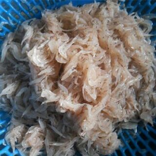 Ruốc khô siêu ngon