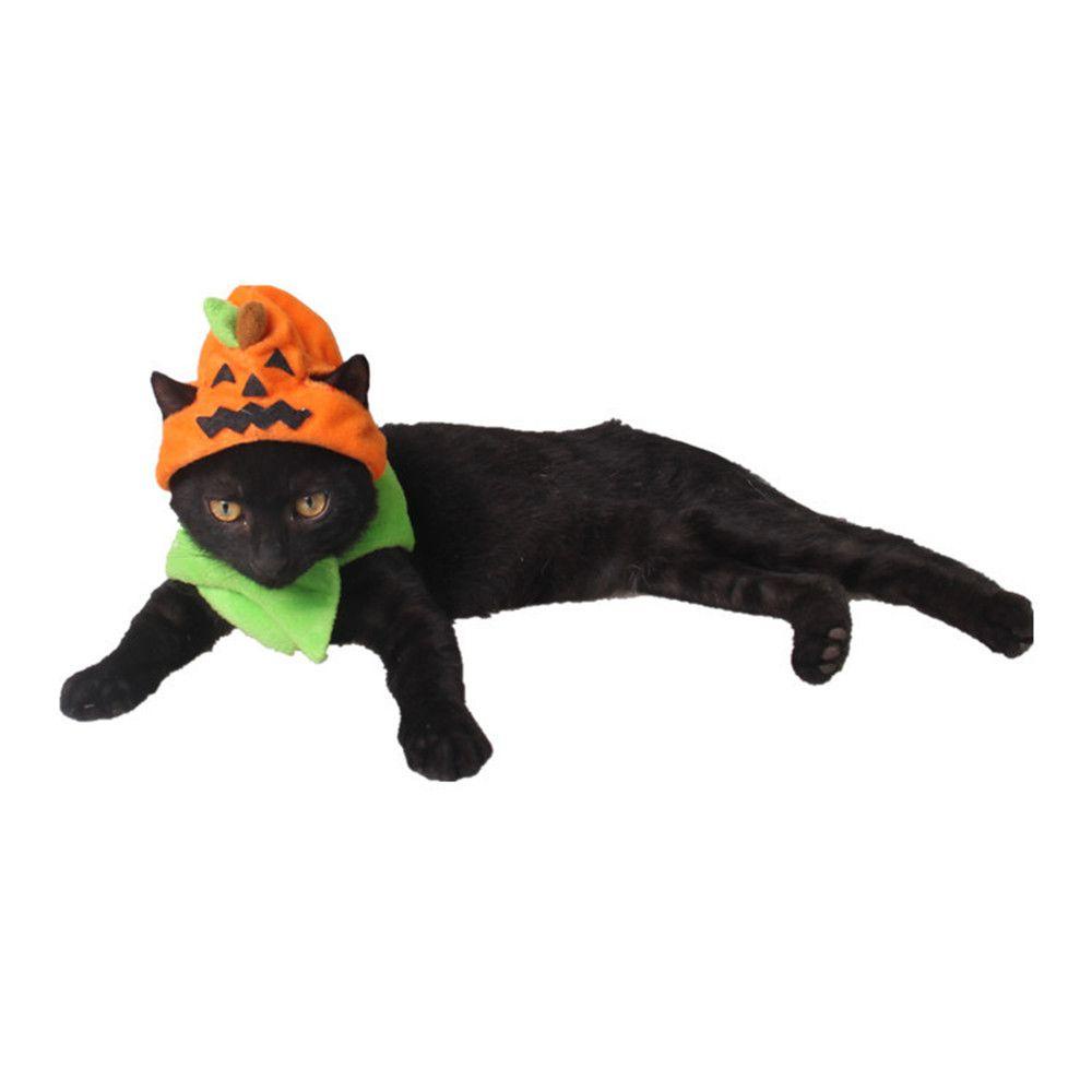 Trang PhụC Halloween Cho Thú Cưng Biến HìNh