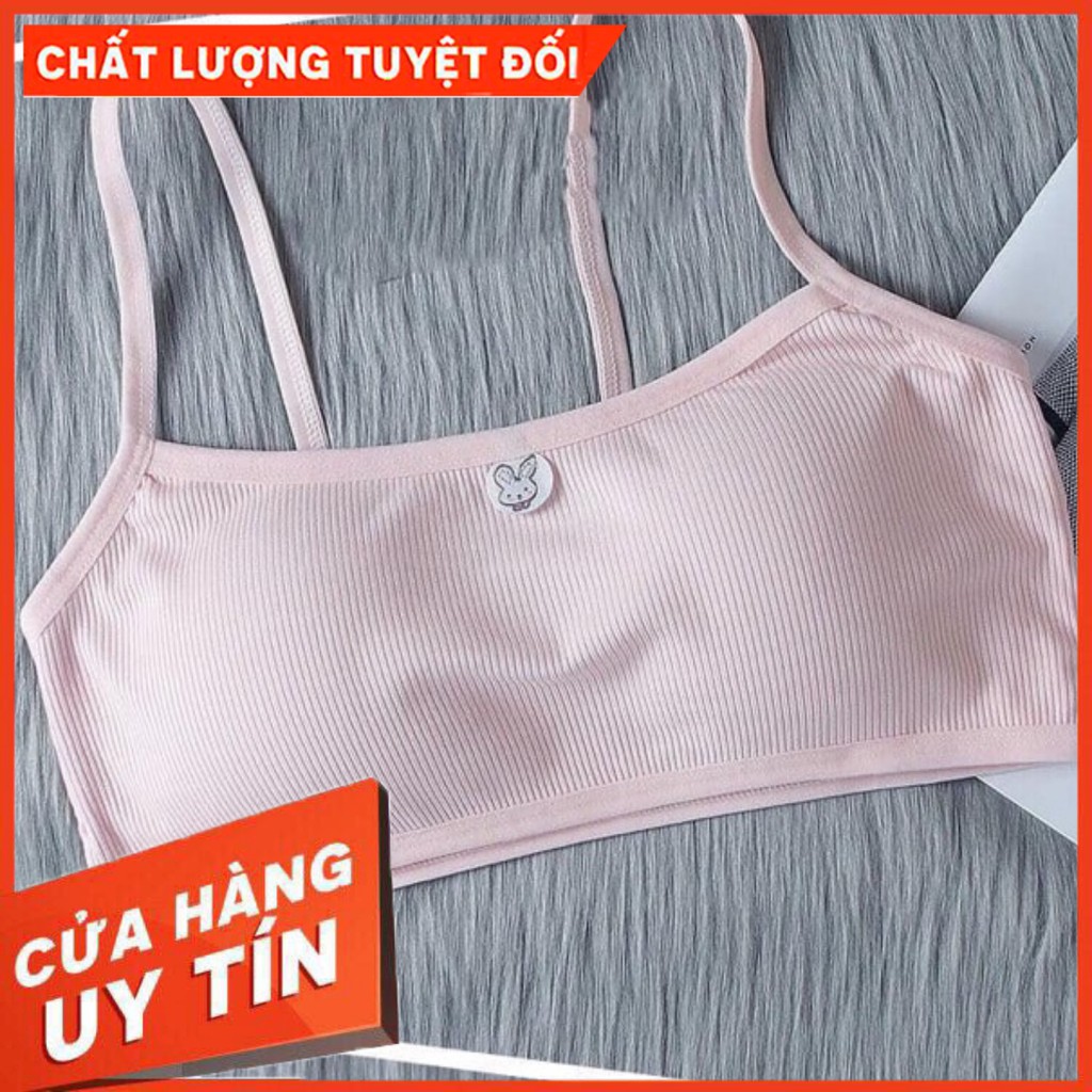 Aó Bra học Sinh Chất Cotton Mịn Đẹp