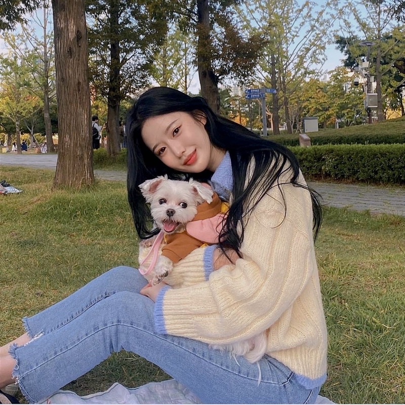 Áo Cho Thú Cưng Dễ Thương - PET0057