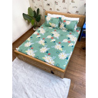 XẢ KHO GA GỐI CHUN TRẦN 100% COTTON VICTORY